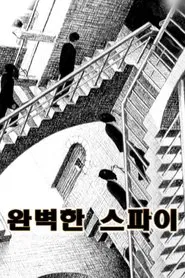 Perfect Spy tv show poster