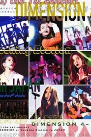 Poster do filme f(x) the 1st concert DIMENSION 4 - Docking Station in JAPAN