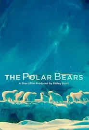 The Polar Bears movie poster