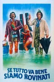 Se tutto va bene siamo rovinati movie poster