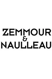 Poster da série Zemmour et Naulleau