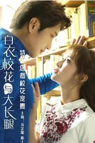 特工总裁校花宠妻 movie poster