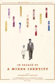 In Search of a Mixed Identity movie poster