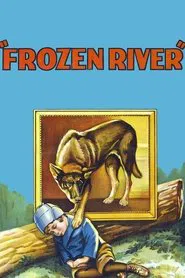 Poster do filme Frozen River