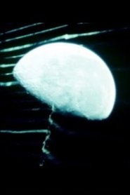 Wet Weather movie poster