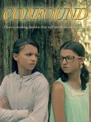 Confound movie poster