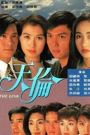 The Link tv show poster
