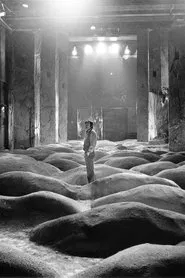 Poster do filme Andrey Tarkovsky. Non-Return of the Wind
