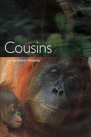 Cousins tv show poster