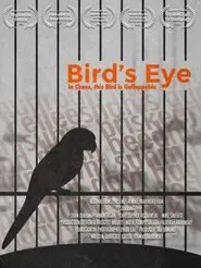 Bird's Eye movie poster
