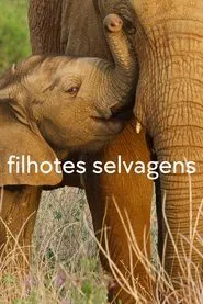 Poster da série Filhotes Selvagens
