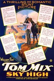Sky High movie poster