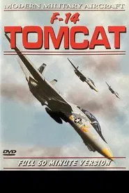 F-14 Tomcat movie poster