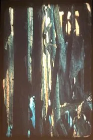 The Loom movie poster