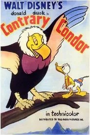 Poster do filme Contrary Condor