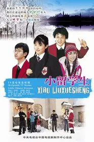 Poster da série 小留学生