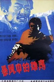 Poster do filme 暴风中的雄鹰
