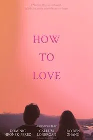 How to Love movie poster