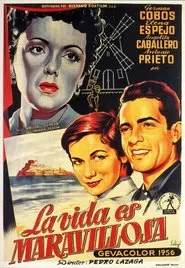La vida es maravillosa movie poster