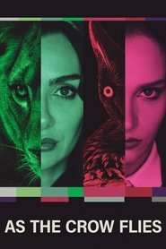 As the Crow Flies tv show poster