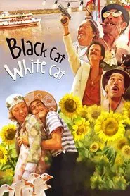 Black Cat, White Cat movie poster