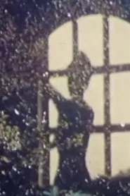 The Portrait of Cordua movie poster