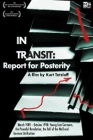 In Transit: Report for Posterity movie poster