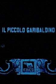 The Garibaldi Boy movie poster