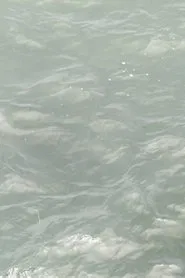 ob pier 5, 3 movements movie poster