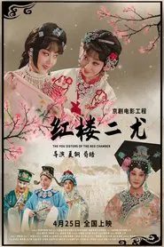 Poster do filme 红楼二尤