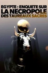 Ägypten - Das Grab der heiligen Stiere movie poster