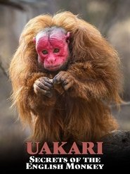 Uakari: Secrets of the English Monkey movie poster