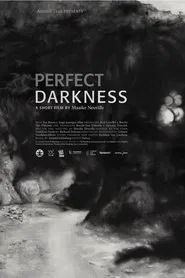Perfect Darkness movie poster