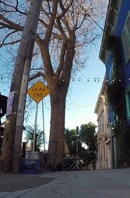 Tree Listening Test movie poster