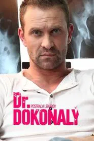 Doctor Perfect tv show poster