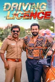 Driving Licence movie poster