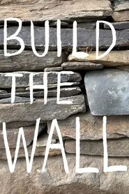 Poster do filme Build the Wall