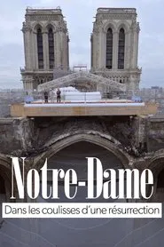 Notre-Dame of Paris, Rising from the Ashes movie poster