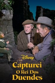 Poster do filme Capturei o Rei dos Duendes