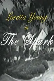 Poster do filme The Spark