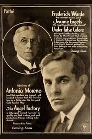 Under False Colors movie poster