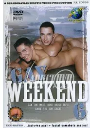 Gay Weekend 6 movie poster
