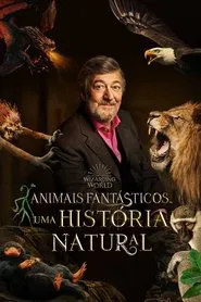 Poster do filme Animais Fantásticos Uma História Natural