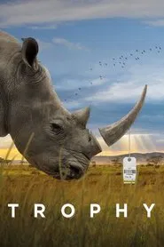 Trophy movie poster