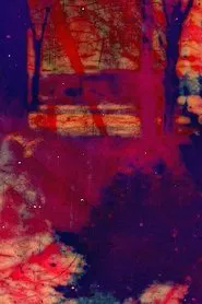 landing movie poster