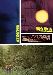 Para Colorir movie poster