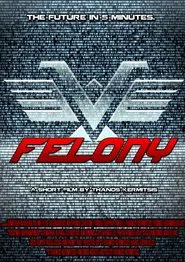Felony movie poster