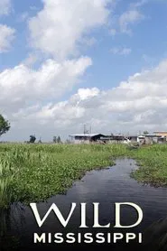 Wild Mississippi tv show poster