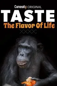 Taste: The Flavor of Life tv show poster