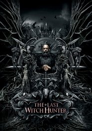 The Last Witch Hunter movie poster